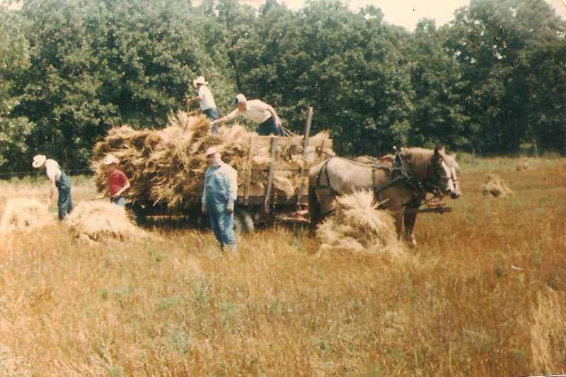 threshing6
